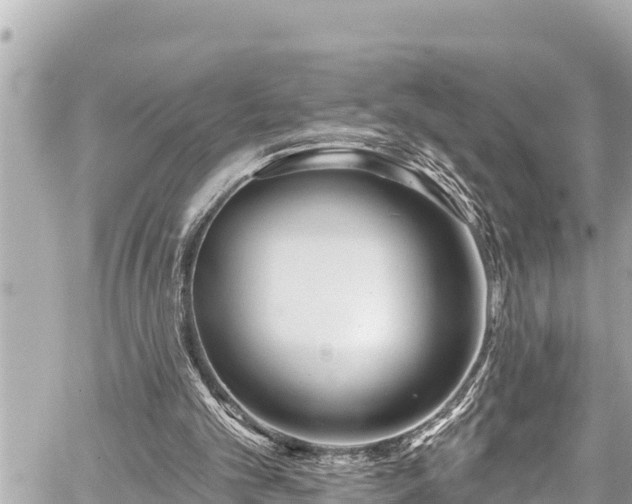 X0000059060101200510101059