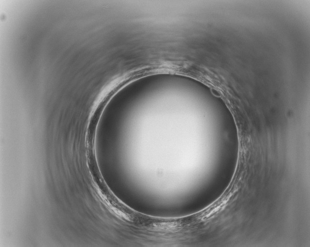 X0000059060102200510101059