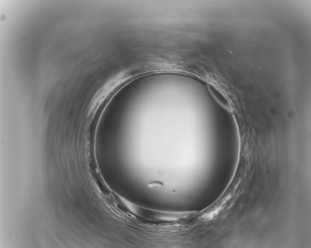 X0000059060103200510101059