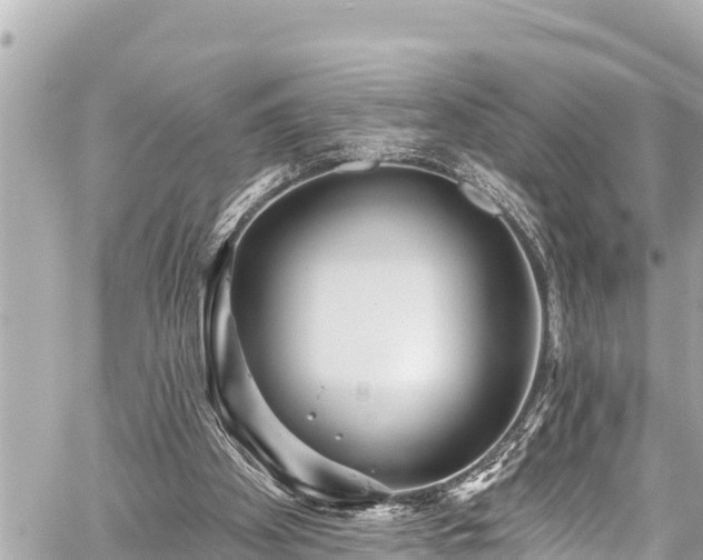 X0000059060105200510101059