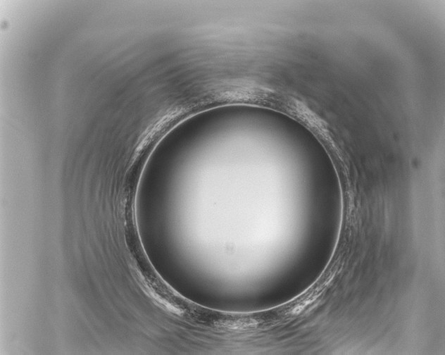 X0000059060106200510101059