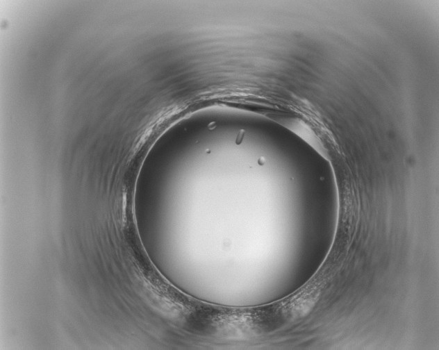 X0000059060110200510101059