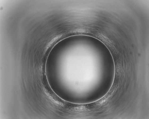 X0000059060112200510101059