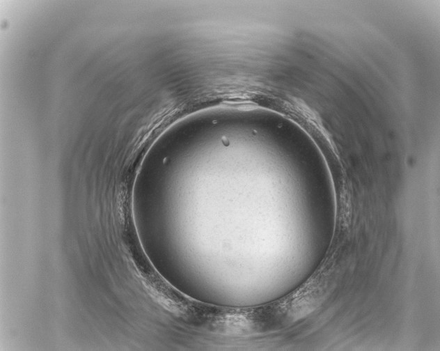 X0000059060114200510101059