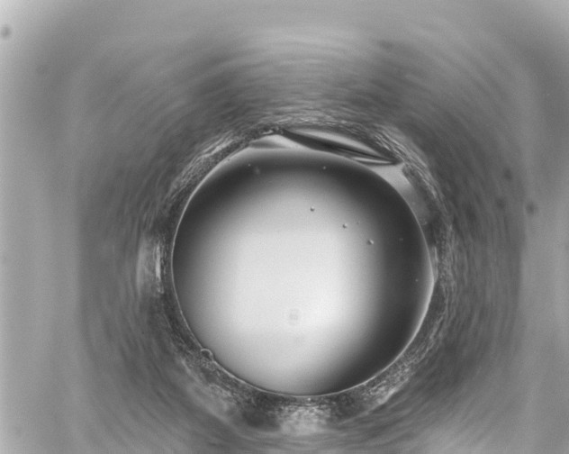 X0000059060115200510101059