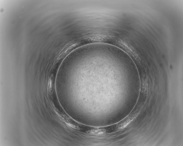 X0000059060117200510101059