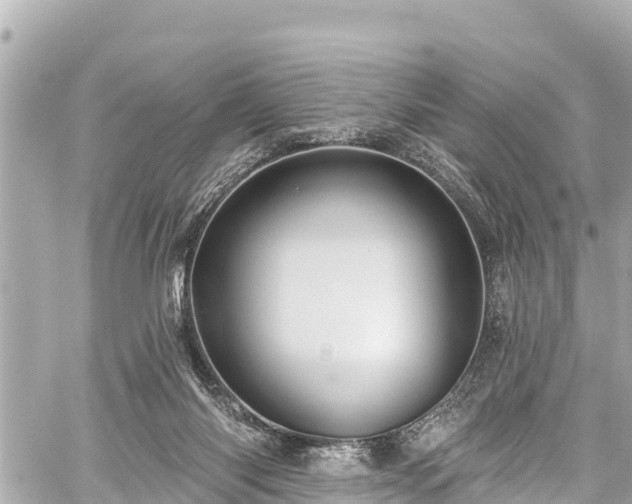 X0000059060118200510101059