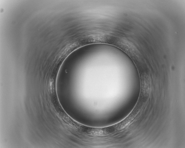 X0000059060123200510101059