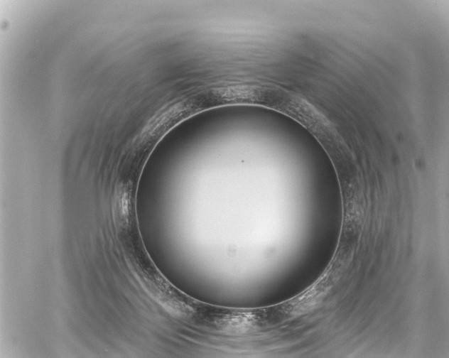 X0000059060124200510101059