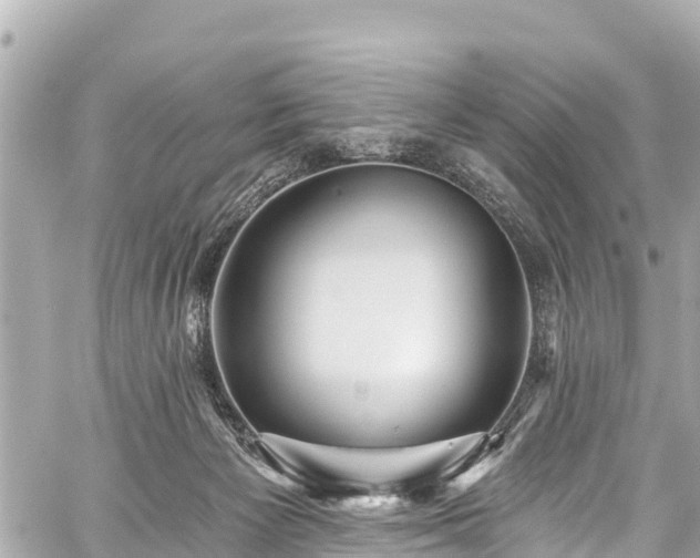 X0000059060125200510101058