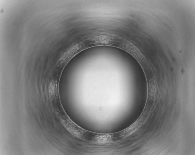 X0000059060126200510101058