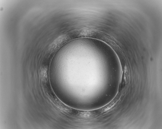 X0000059060127200510101058