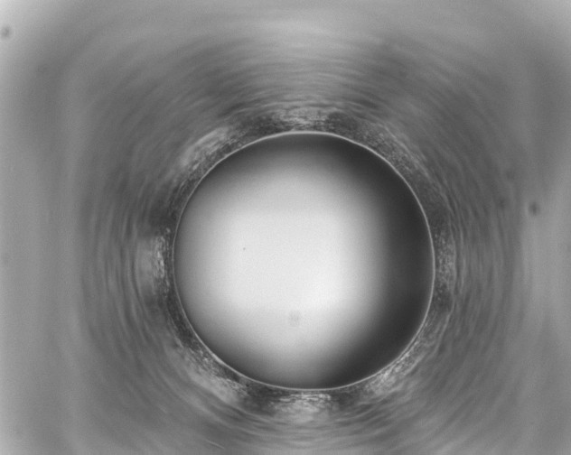 X0000059060128200510101058