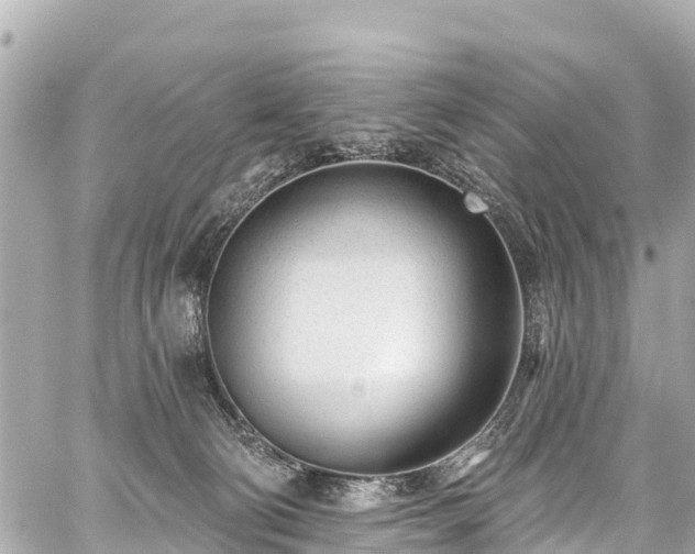 X0000059060130200510101058