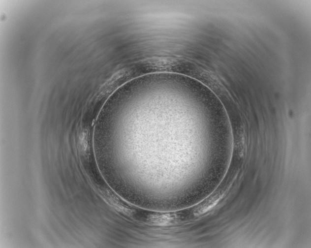 X0000059060131200510101058