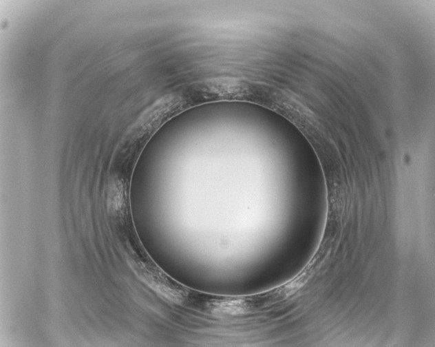 X0000059060132200510101058