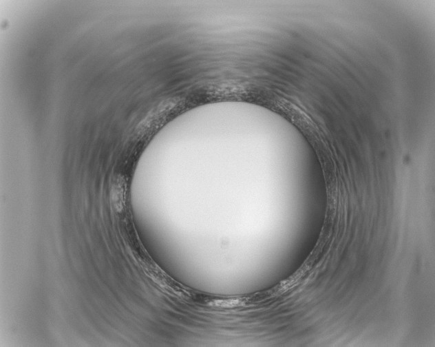 X0000059060133200510101058