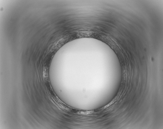 X0000059060134200510101058