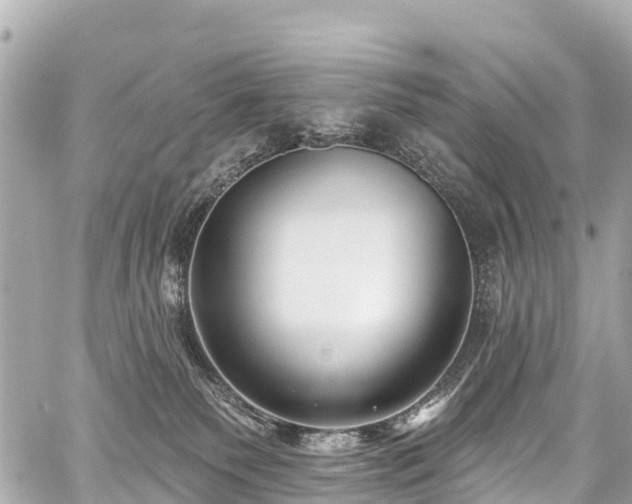 X0000059060135200510101058