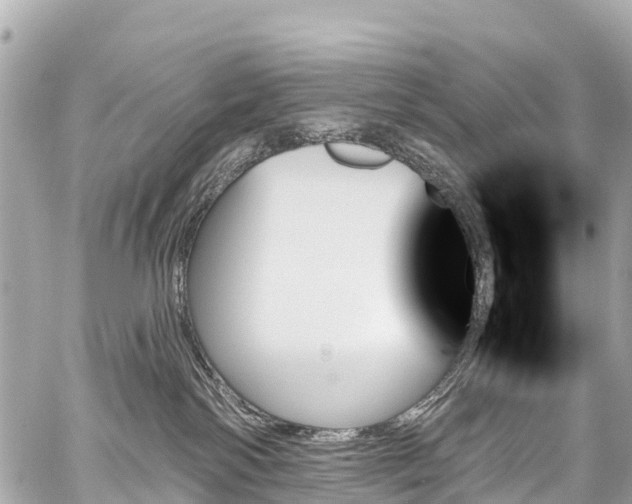 X0000059060138200510101058