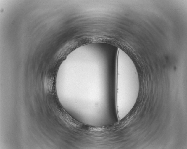 X0000059060139200510101058