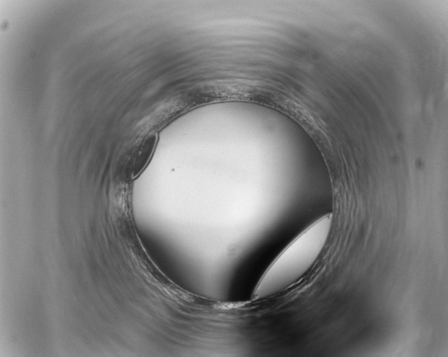 X0000059060141200510101058