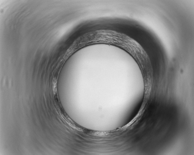 X0000059060142200510101058