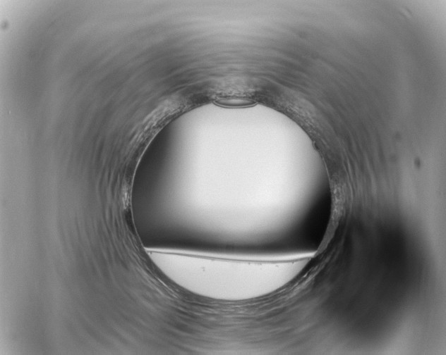 X0000059060143200510101058