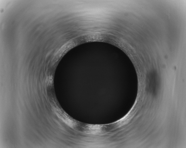 X0000059060144200510101058