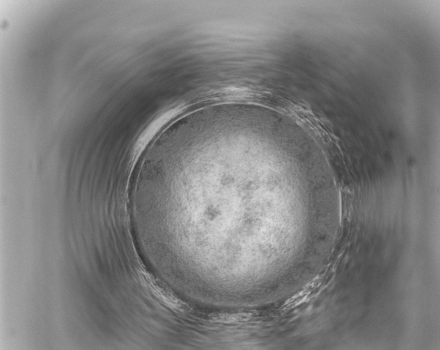 X0000059060147200510101057