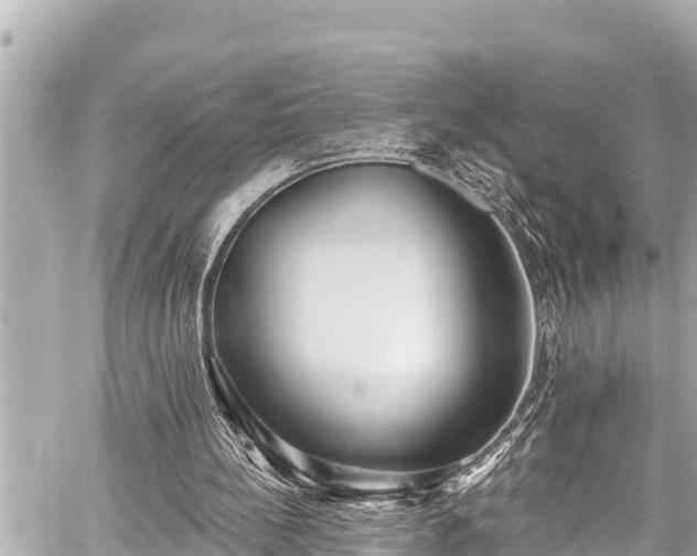 X0000059060148200510101057