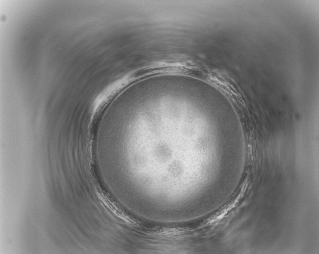 X0000059060149200510101057