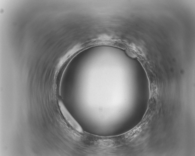 X0000059060150200510101057