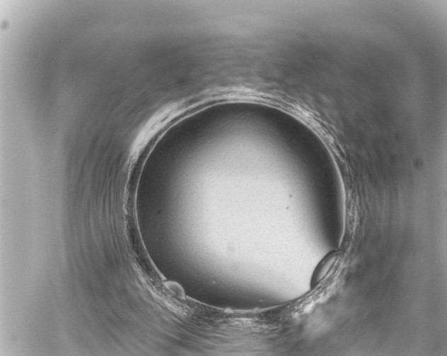 X0000059060151200510101057