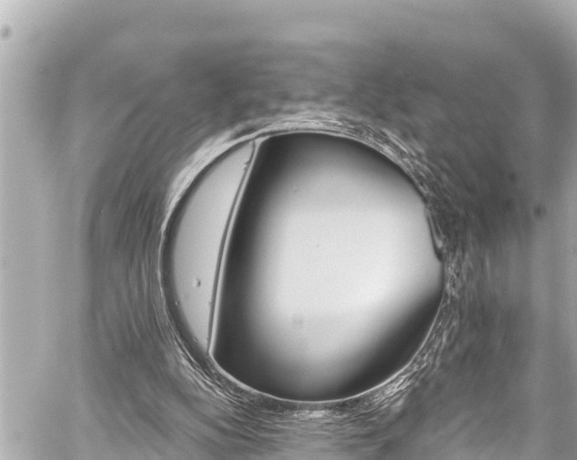 X0000059060152200510101057