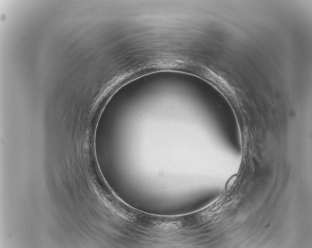 X0000059060155200510101058