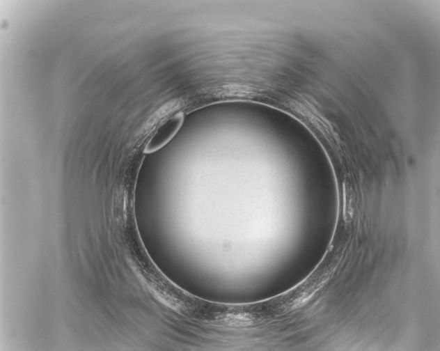 X0000059060157200510101058