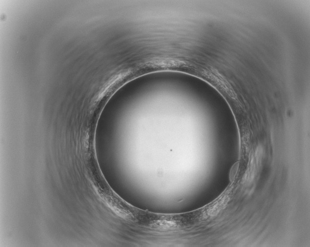 X0000059060159200510101058