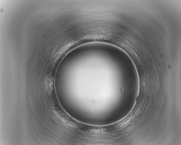 X0000059060160200510101058