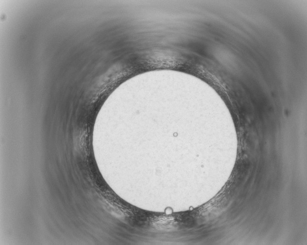 X0000059060162200510101058