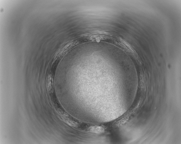 X0000059060169200510101058