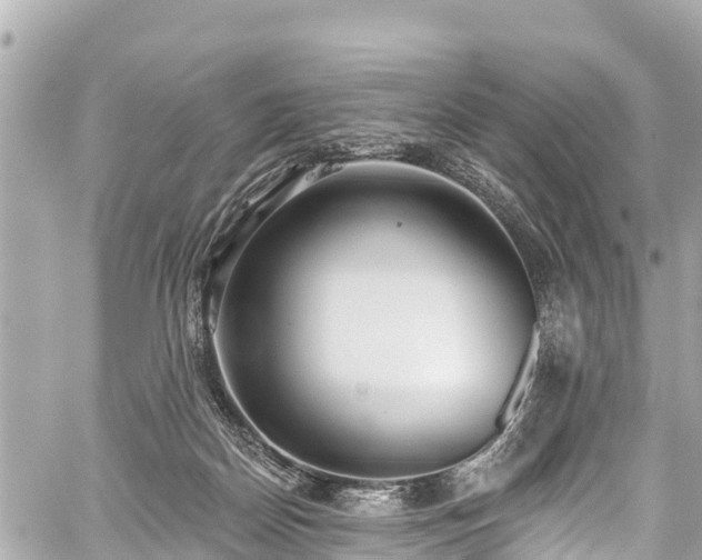 X0000059060170200510101058