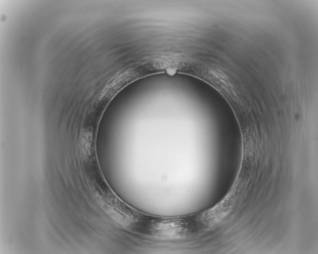 X0000059060171200510101058