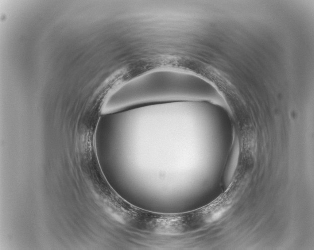 X0000059060172200510101058