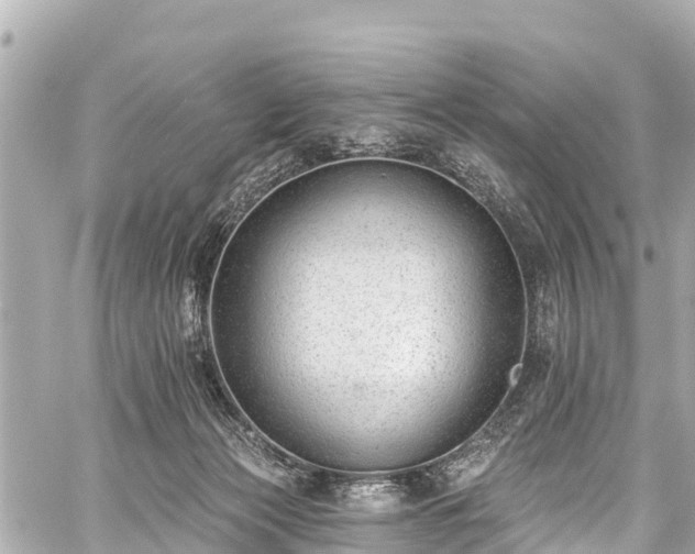 X0000059060173200510101058