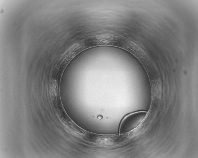 X0000059060174200510101058