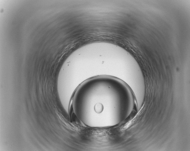 X0000059060175200510101058