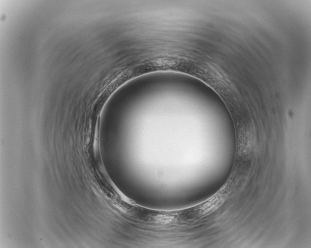 X0000059060176200510101058