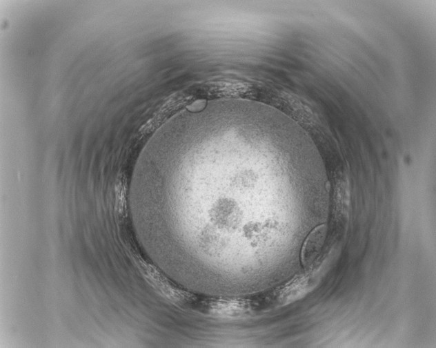 X0000059060177200510101058