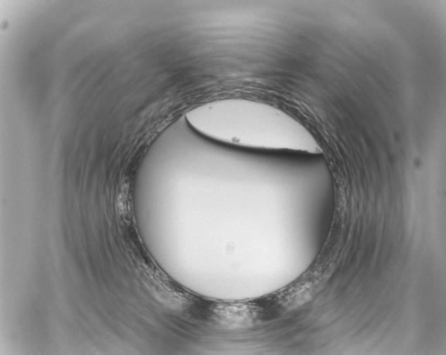 X0000059060181200510101058